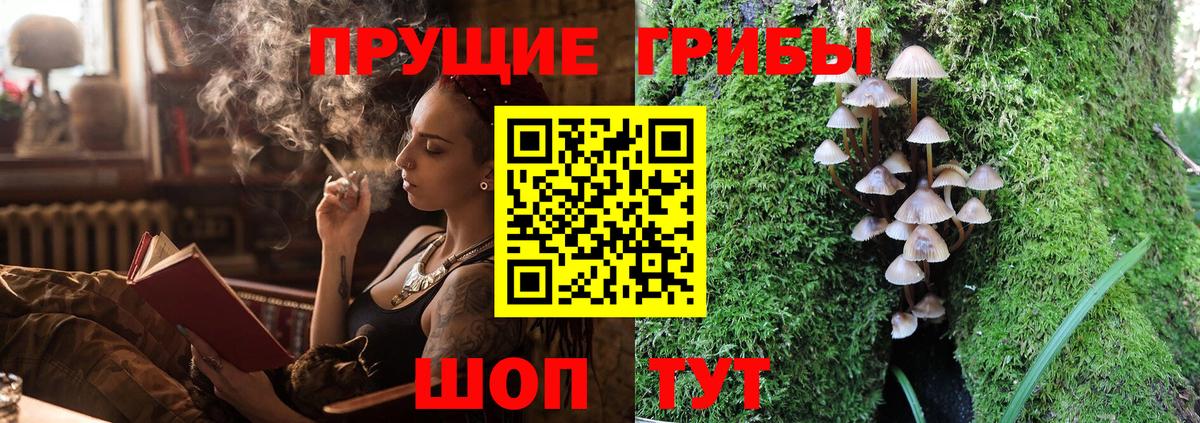 Псилоцибиновые грибы Magic Shrooms  где продают   Бийск  Вход с VPN 